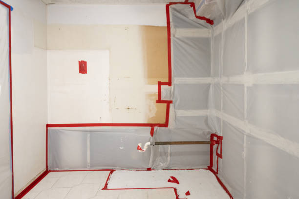 Best Mold Damage Restoration  in Holly Hill, SC