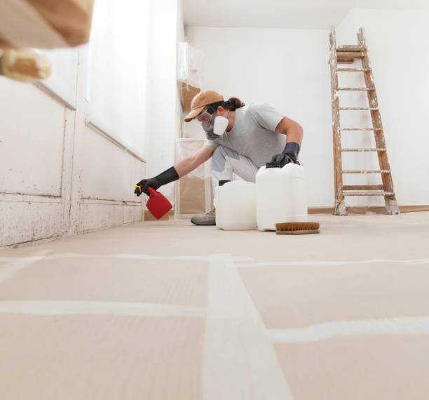Best Airborne Mold Testing  in Holly Hill, SC